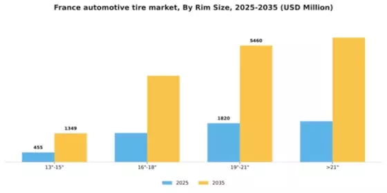 France Automotive Tire Market Segment Image 2