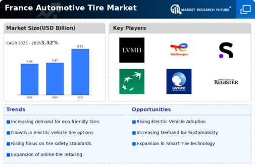 France Automotive Tire Market Infographic
