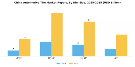 China Automotive Tire Market Segment Image 2