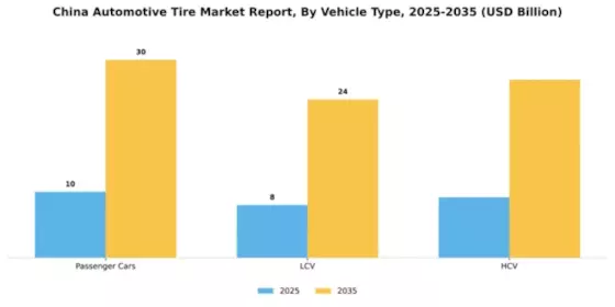 China Automotive Tire Market Segment Image 4