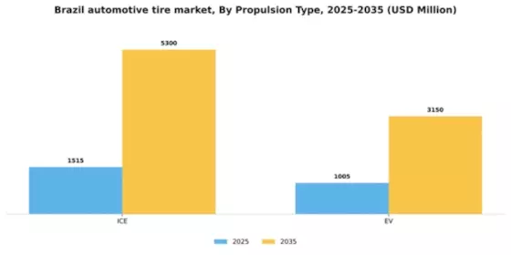 Brazil Automotive Tire Market Segment Image 1