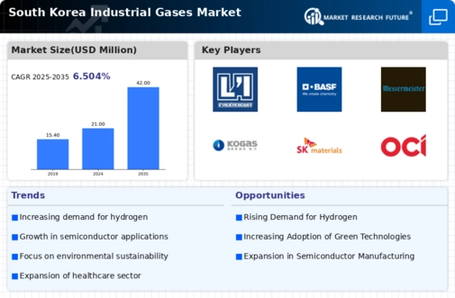 South Korea Industrial Gases Market Infographic