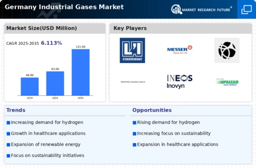 Germany Industrial Gases Market Infographic