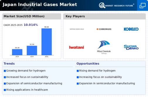Japan Industrial Gases Market Infographic