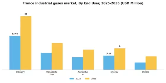 France Industrial Gases Market Segment Image 0