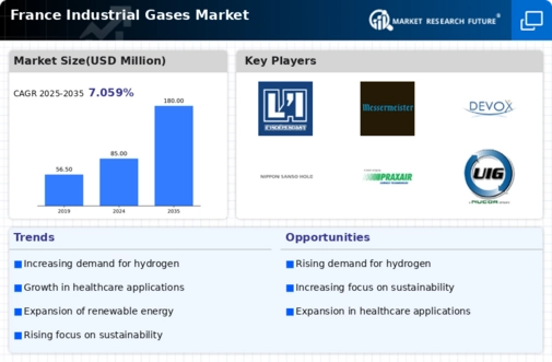 France Industrial Gases Market Infographic