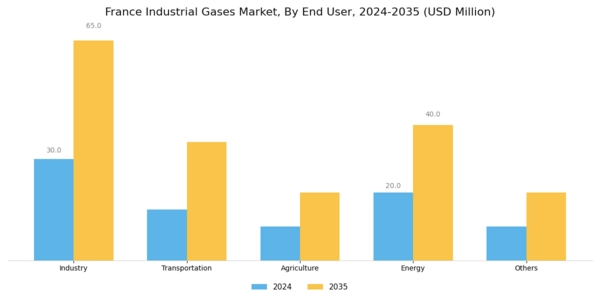 France Industrial Gases Market Segment Image 1