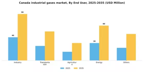 Canada Industrial Gases Market Segment Image 0