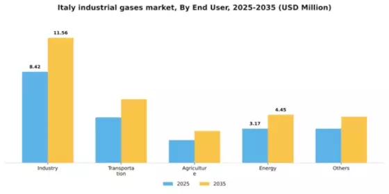 Italy Industrial Gases Market Segment Image 0