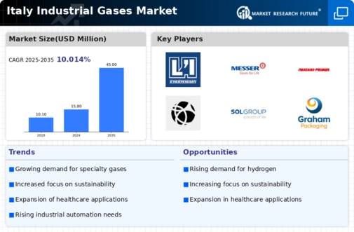 Italy Industrial Gases Market Infographic