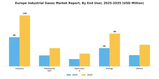 Europe Industrial Gases Market Segment Image 0