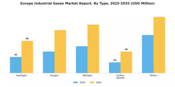 Europe Industrial Gases Market Segment Image 1