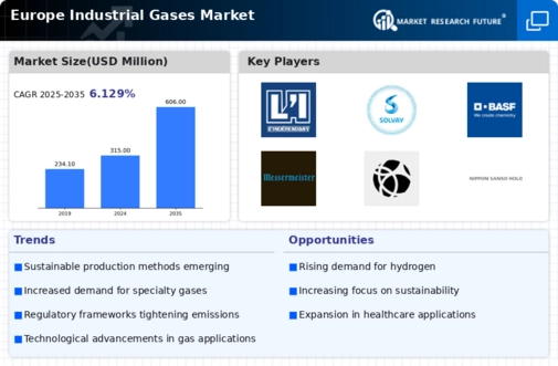 Europe Industrial Gases Market Infographic