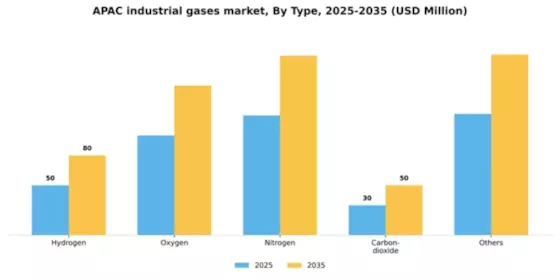 APAC Industrial Gases Market Segment Image 1