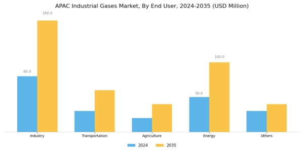 APAC Industrial Gases Market Segment Image 1