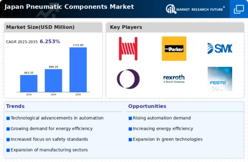 Japan Pneumatic Components Market Infographic