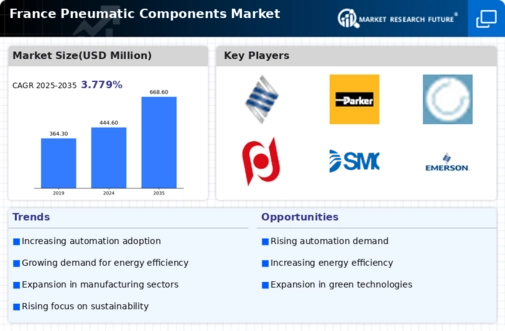 France Pneumatic Components Market Infographic