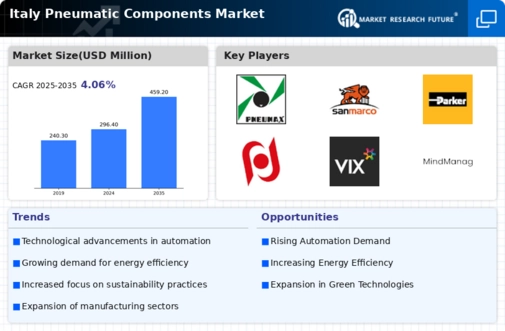 Italy Pneumatic Components Market Infographic