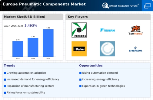 Europe Pneumatic Components Market Infographic