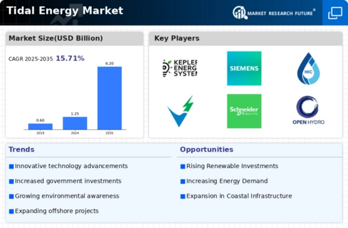 Tidal Energy Market Infographic