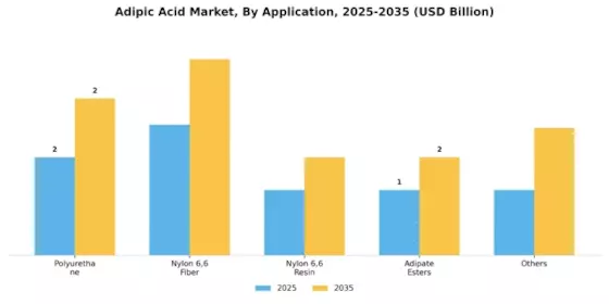 Adipic Acid Market Segment Image 0
