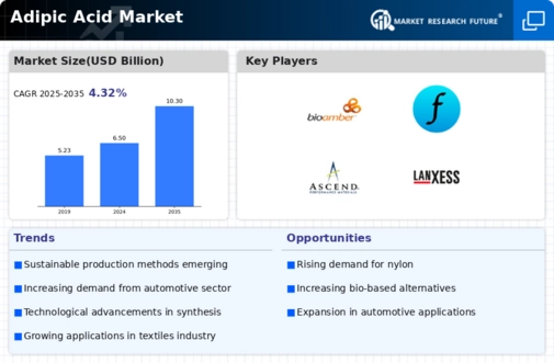 Adipic Acid Market Infographic