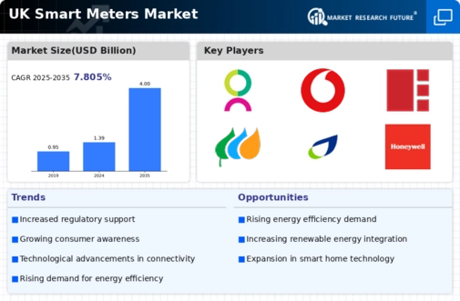 UK Smart Meters Market Infographic