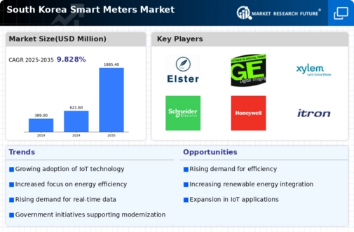South Korea Smart Meters Market Infographic