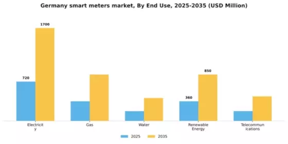 Germany Smart Meters Market Segment Image 1