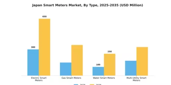 Japan Smart Meters Market Segment Image 4
