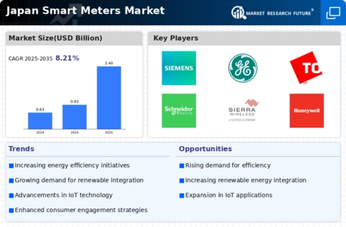 Japan Smart Meters Market Infographic