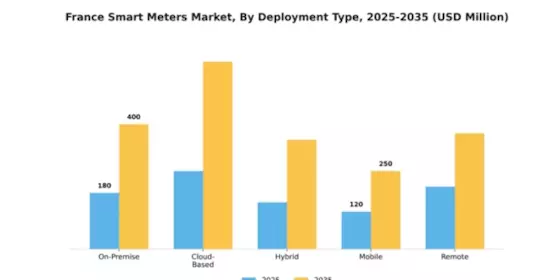 France Smart Meters Market Segment Image 1