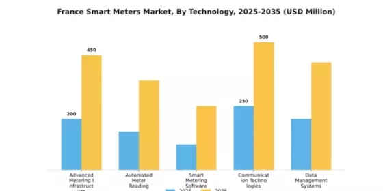 France Smart Meters Market Segment Image 4