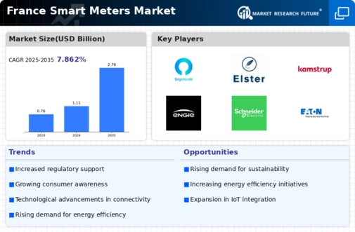 France Smart Meters Market Infographic