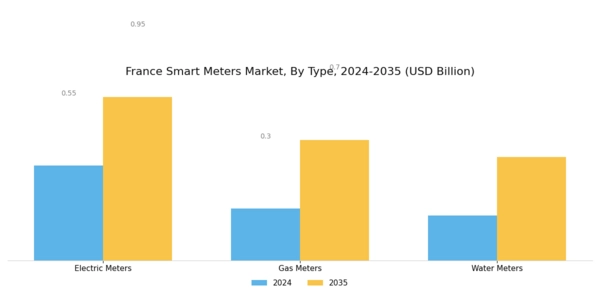 France Smart Meters Market Segment Image 0