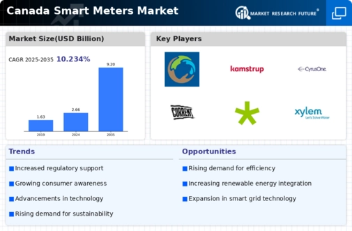 Canada Smart Meters Market Infographic
