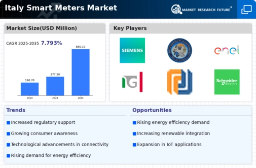 Italy Smart Meters Market Infographic