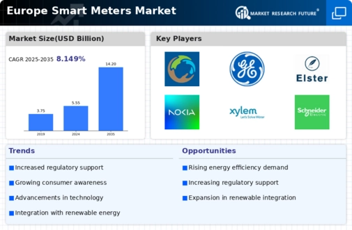 Europe Smart Meters Market Infographic