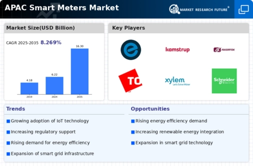 APAC Smart Meters Market Infographic