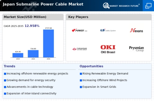 Japan Submarine Power Cable Market Infographic