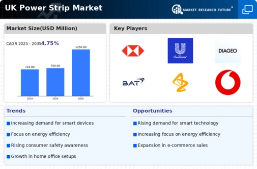 UK Power Strip Market Infographic