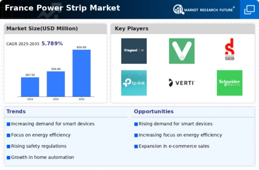 France Power Strip Market Infographic