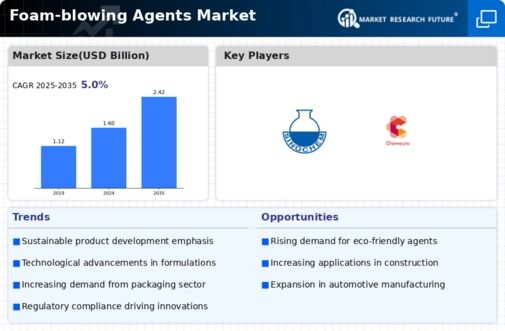 Foam blowing agents Market Infographic