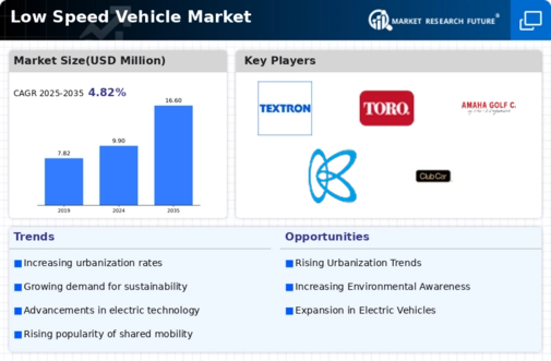 Low speed vehicle Market Infographic