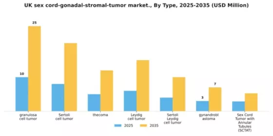 UK Sex Cord Gonadal Stromal Tumor Market Segment Image 3