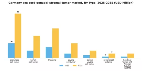 Germany Sex Cord Gonadal Stromal Tumor Market Segment Image 3