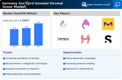 Germany Sex Cord Gonadal Stromal Tumor Market Infographic