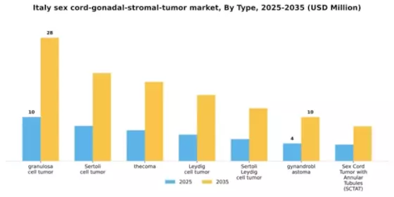 Italy Sex Cord Gonadal Stromal Tumor Market Segment Image 3