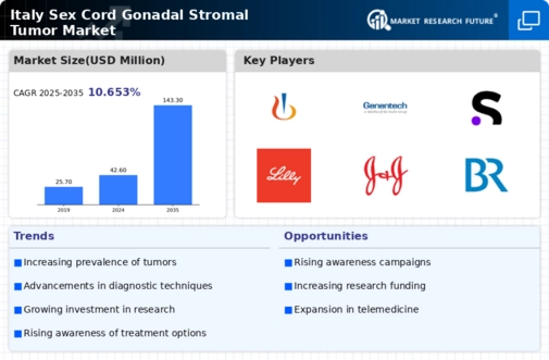 Italy Sex Cord Gonadal Stromal Tumor Market Infographic