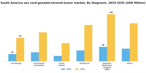 South America Sex Cord Gonadal Stromal Tumor Market Segment Image 0